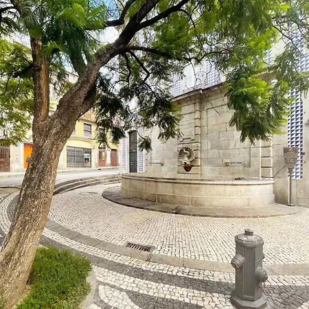 Daire Maripinto Downtown