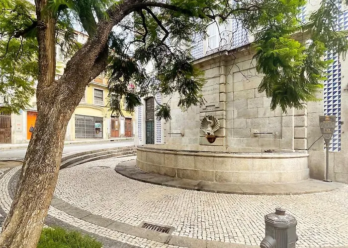 Daire Maripinto Downtown